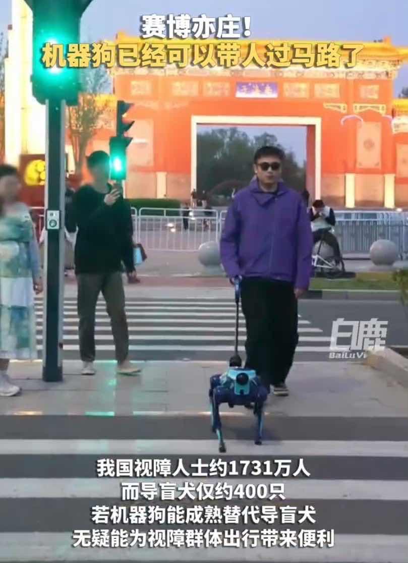 全球首个参加马拉松的机器导盲犬 出行，对大多数人来说是本能，对1700万视障朋友