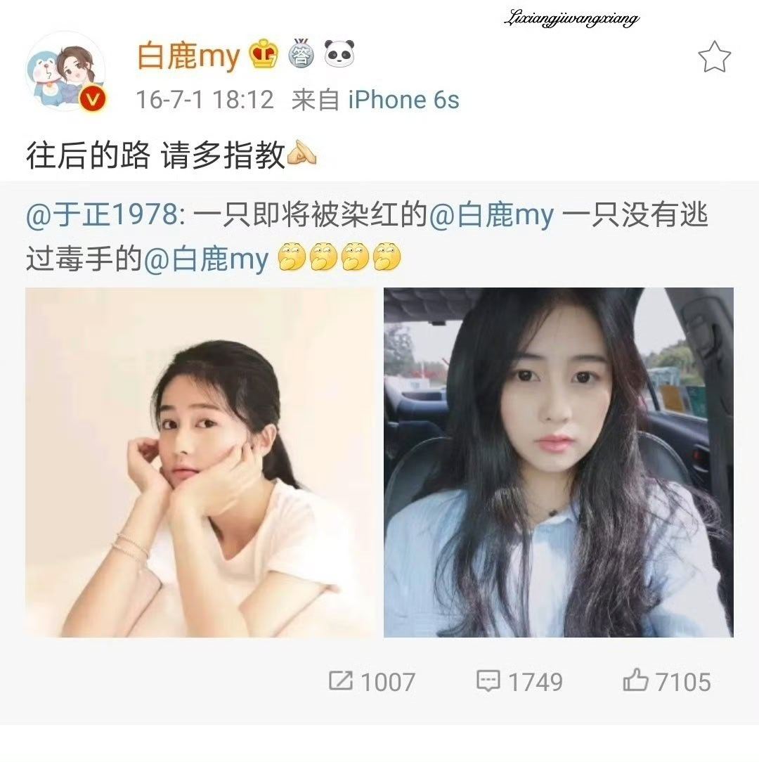 陪伴七年多，离开欢娱梦想实现了 
