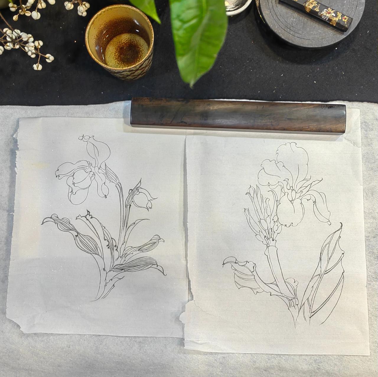 线条藏功力，落笔见初心。深耕白描基础，尽绘中式清雅之美。艺术品不说钱说缘 国画 