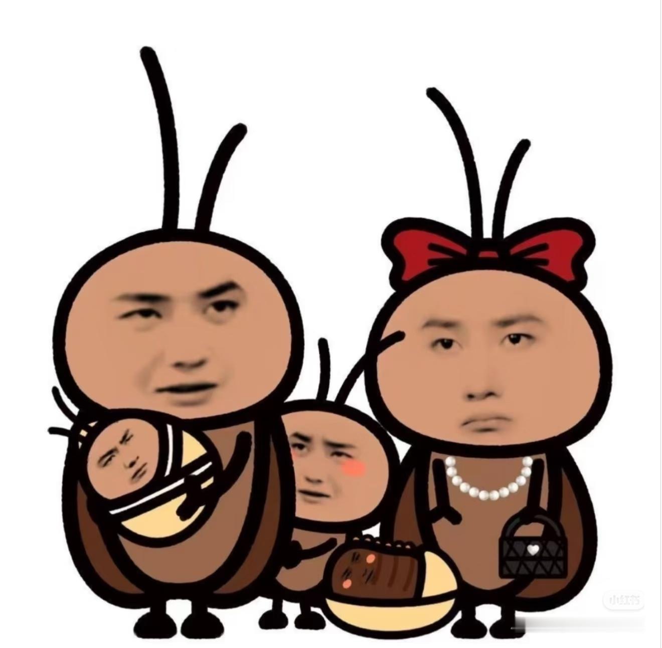 有时候看八字还挺好玩的。有的人本身是独生子女，但盘里比劫很旺，比如博子，如果不认