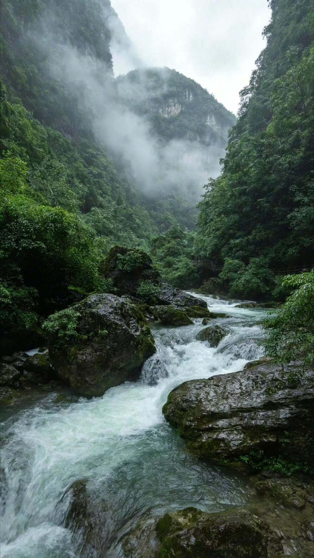 广东的雨好像开了循环模式，每天出门都得带伞才行☔这雨下得也太持久了，感觉广东都要