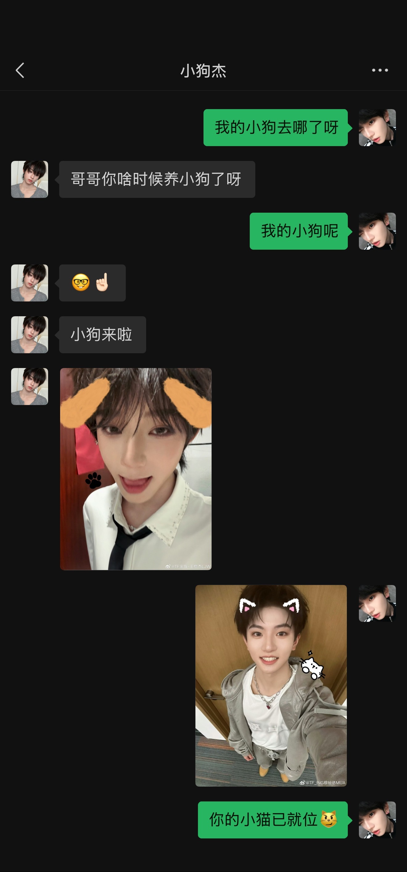 人生就是狗狗又猫猫呀… ​​​