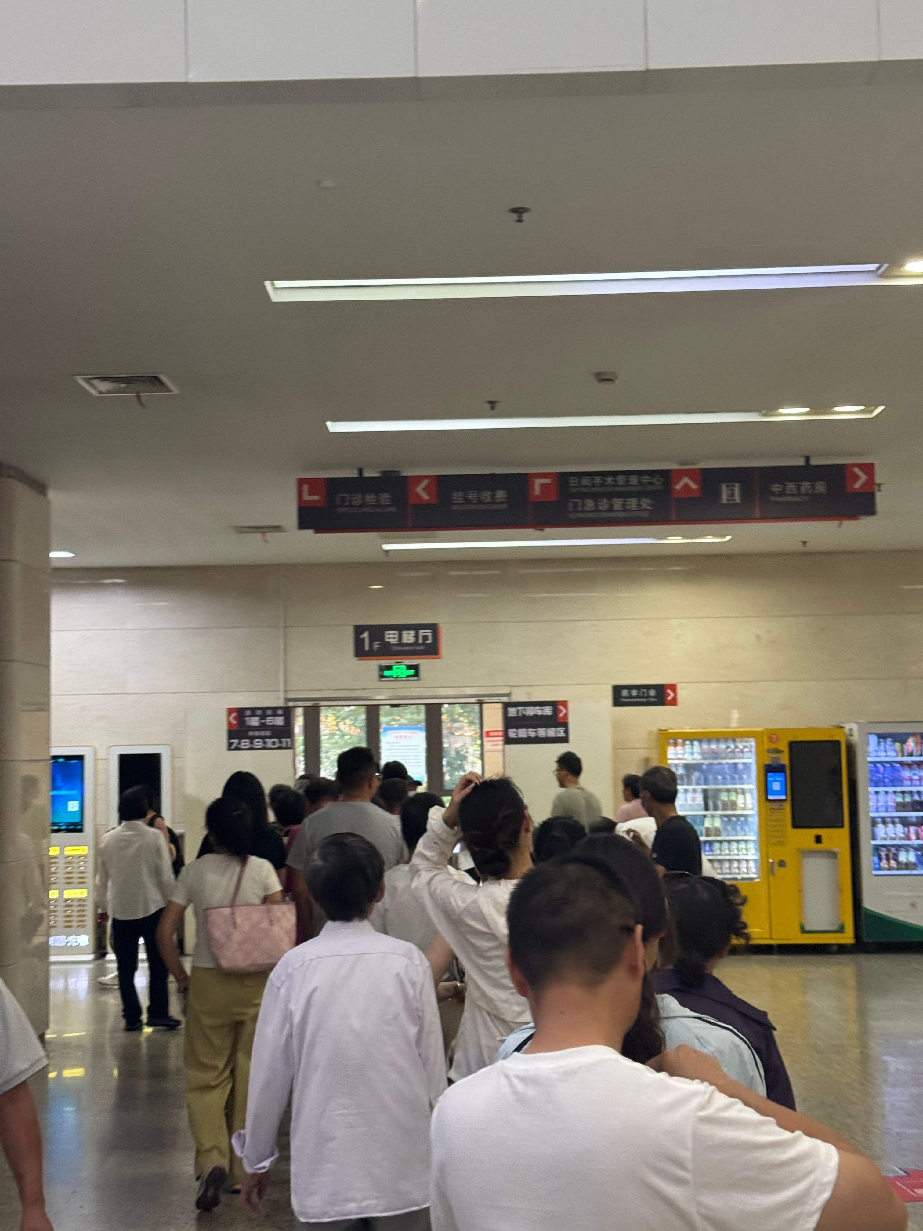 这居然是等电梯的队伍…… 