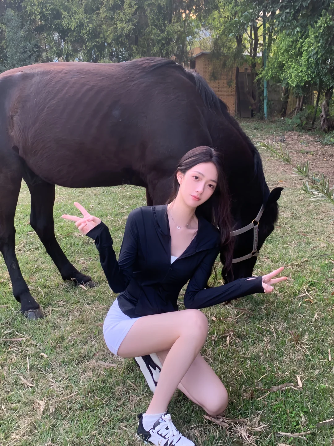 小马 和我拍张照吗🤳
