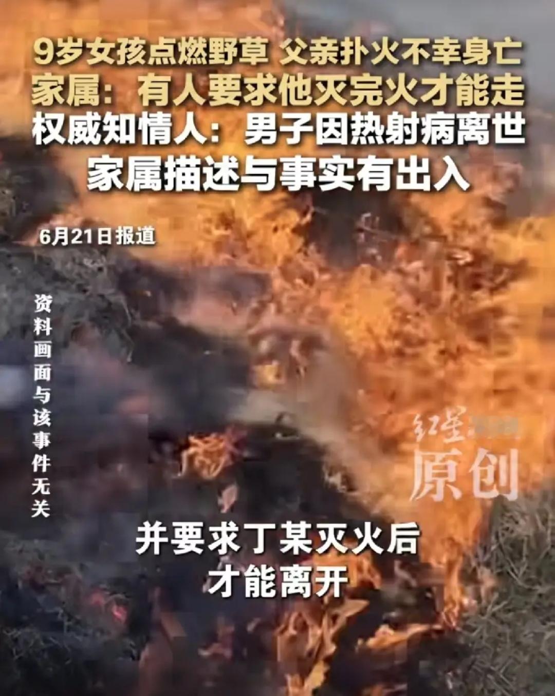 9岁女孩在户外玩耍，跟着父亲一起出去，她不小心点燃了草，火苗烧起来了，森林起火。