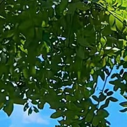 只要心向阳，不管黑暗，走到哪都光明。只要心胸开阔，不管世界再小，走哪都有你一片天