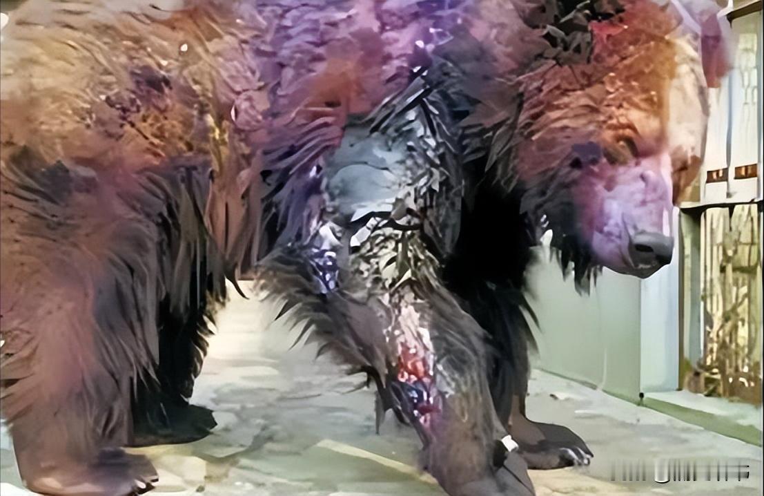 2002年，年仅22岁的清华学生刘海洋，在北京动物园先后用浓硫酸泼伤五只熊。如今