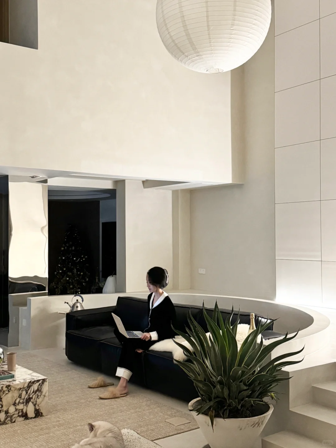 宅家plog | 家是我们的温柔世界