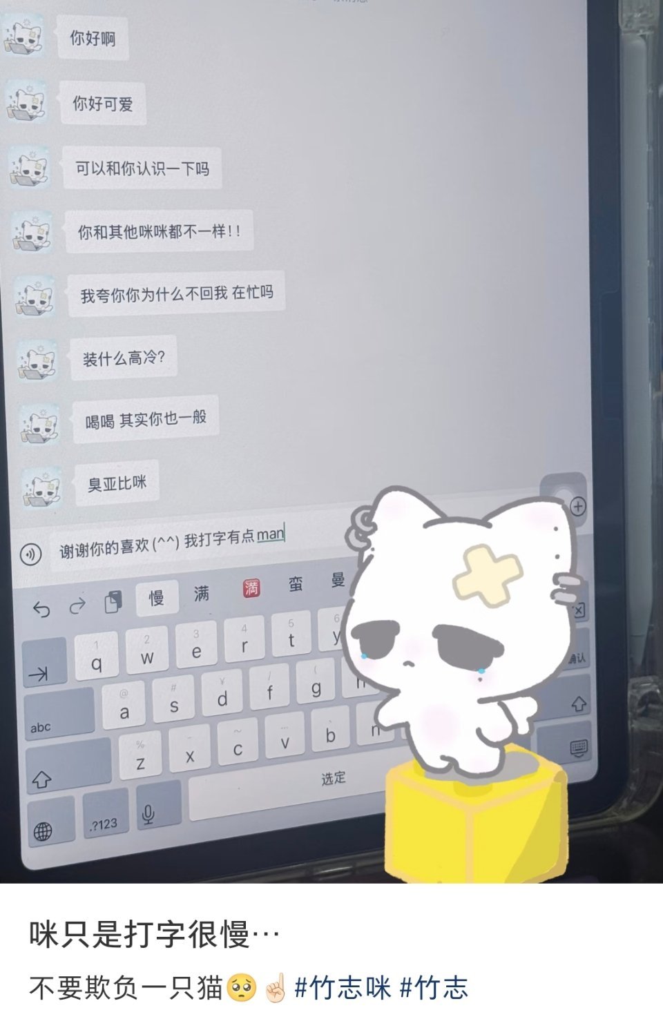 小咪打字，装监控版的写实派为朱志鑫守护星愿 ✨朱志鑫新ip形象竹志 ​​​