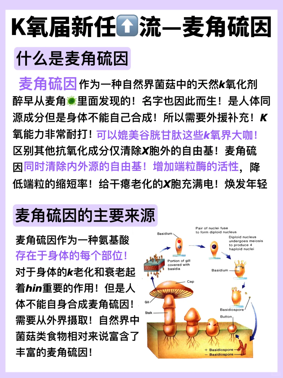 内行人才懂！急性子都会爱上的焕亮搭子