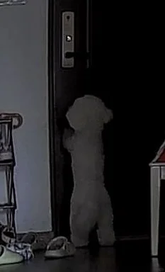 幸好身高矮