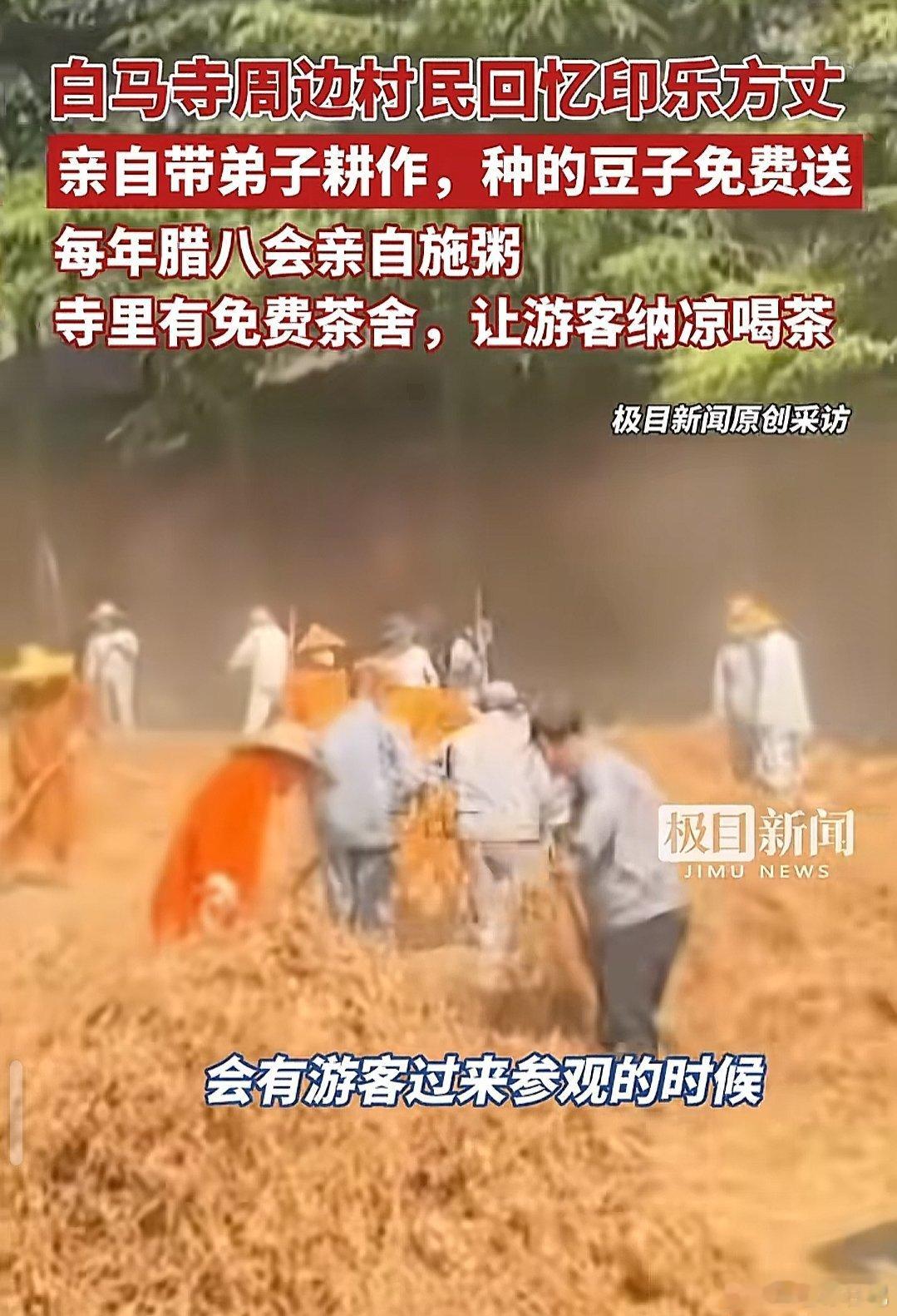 白马寺农禅并重，方丈自己也要干活 ​​​