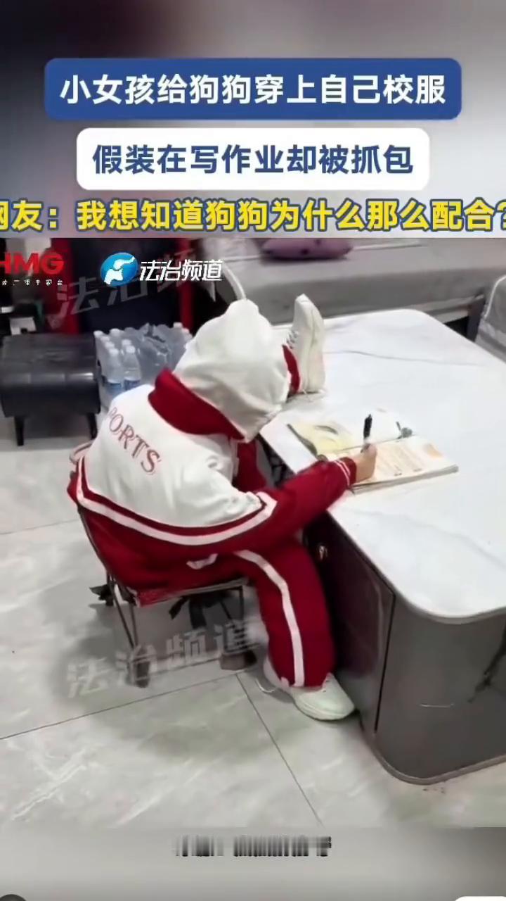 小女孩给狗狗穿上自己校服，假装在写作业却被抓包。友：我想知道狗狗为什么那么配合。