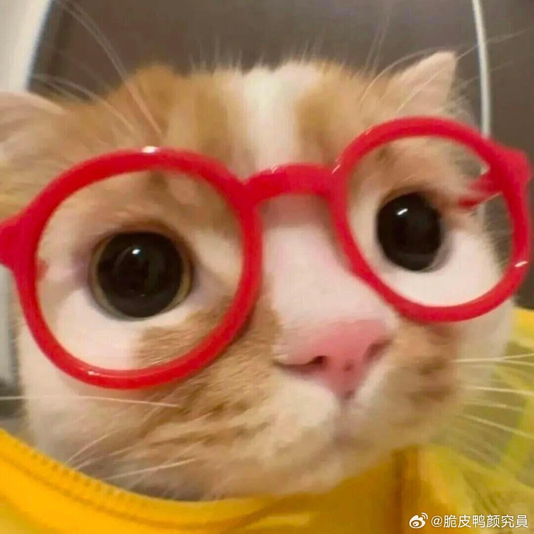 分享图片 