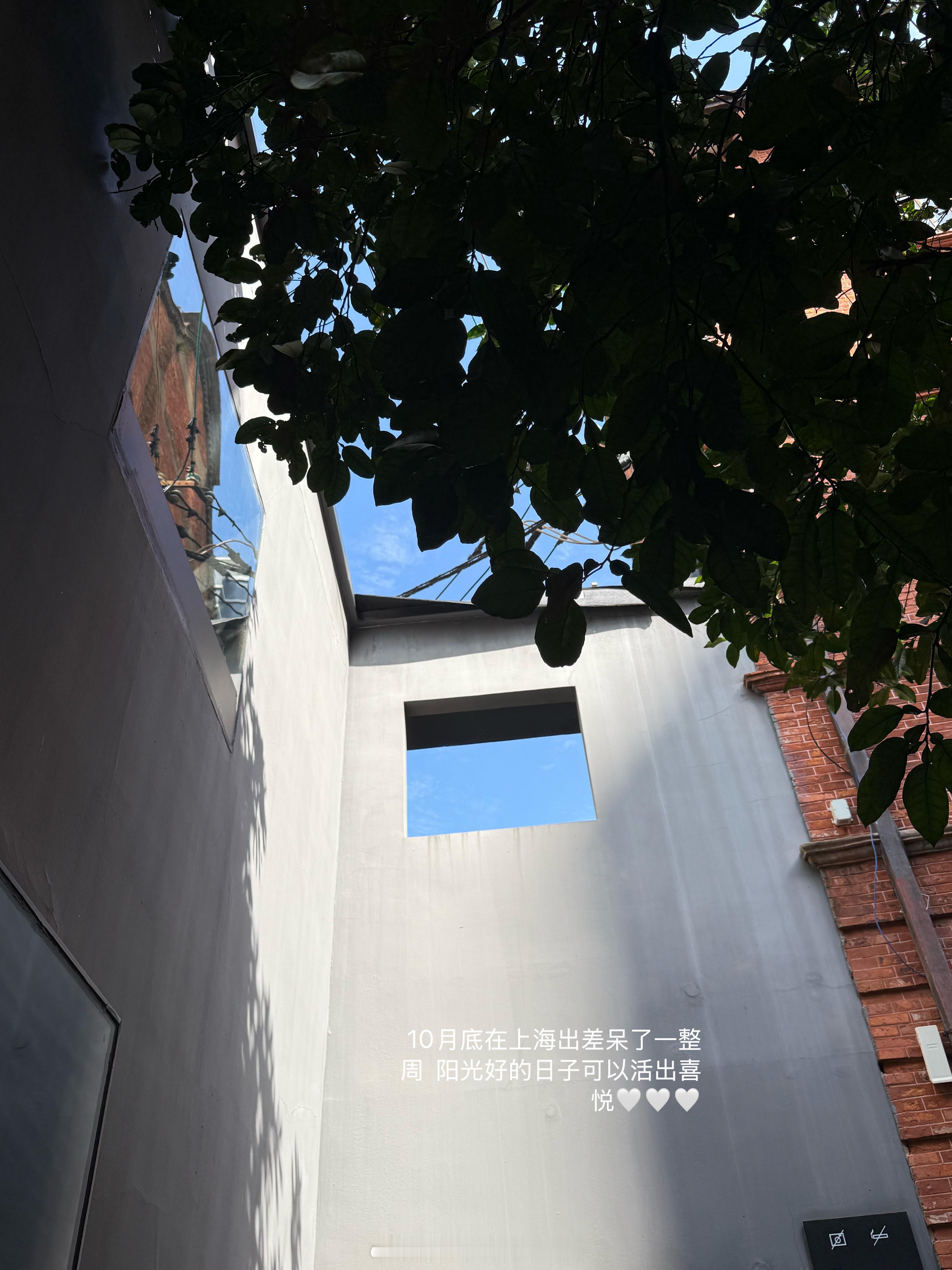 随机掉落18张图🍃🍂🤍 