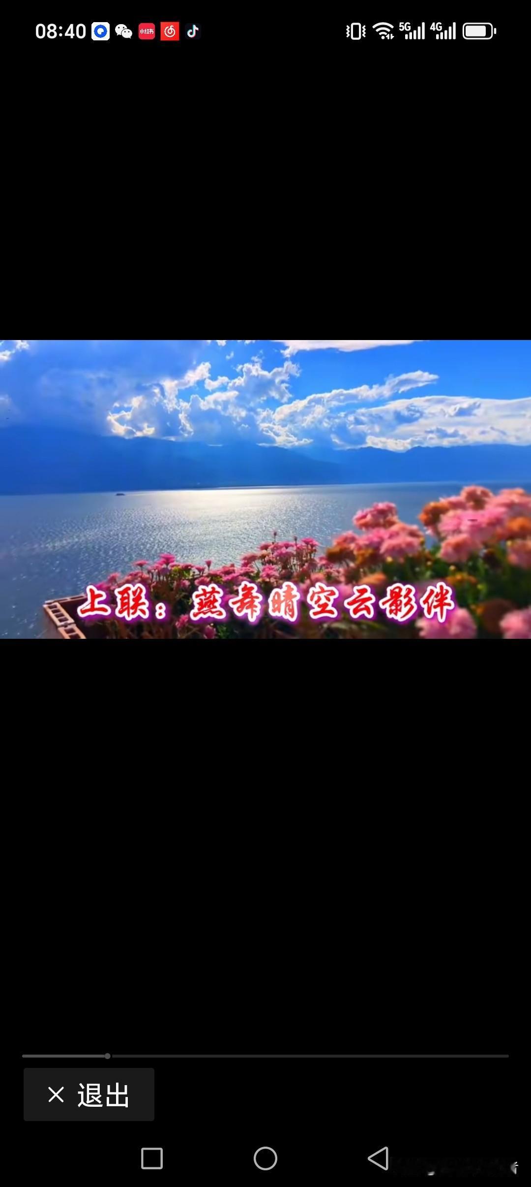 燕舞晴空云影伴
花跳枝头叶相随