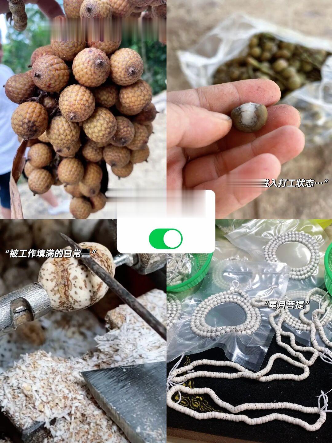 很多朋友好奇星月菩提是如何加工的