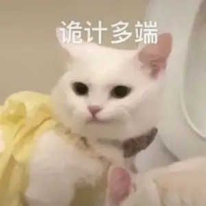 绿海是一回事，我们绿海的灯牌密度更加是旁人难以复刻的啊，ie这次做得很好，但是 