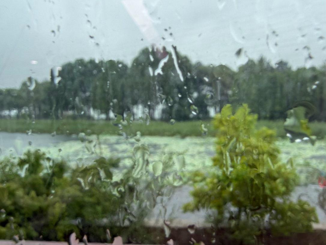 这几天都在下雨☔️江南梅雨季～ 