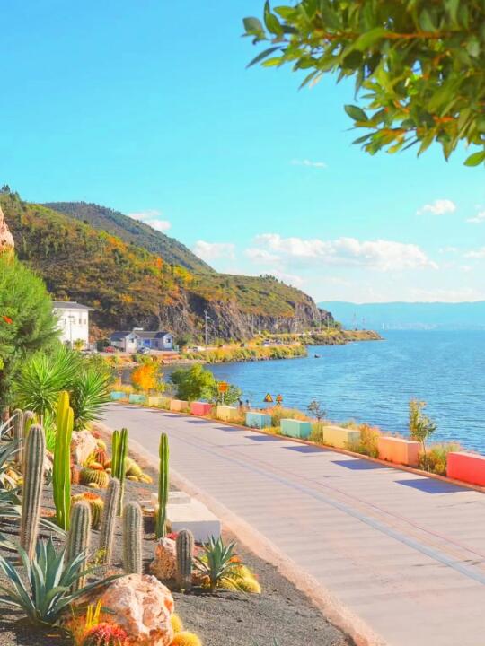 大理洱海东线攻略📒春节适合旅行城市（1/8）