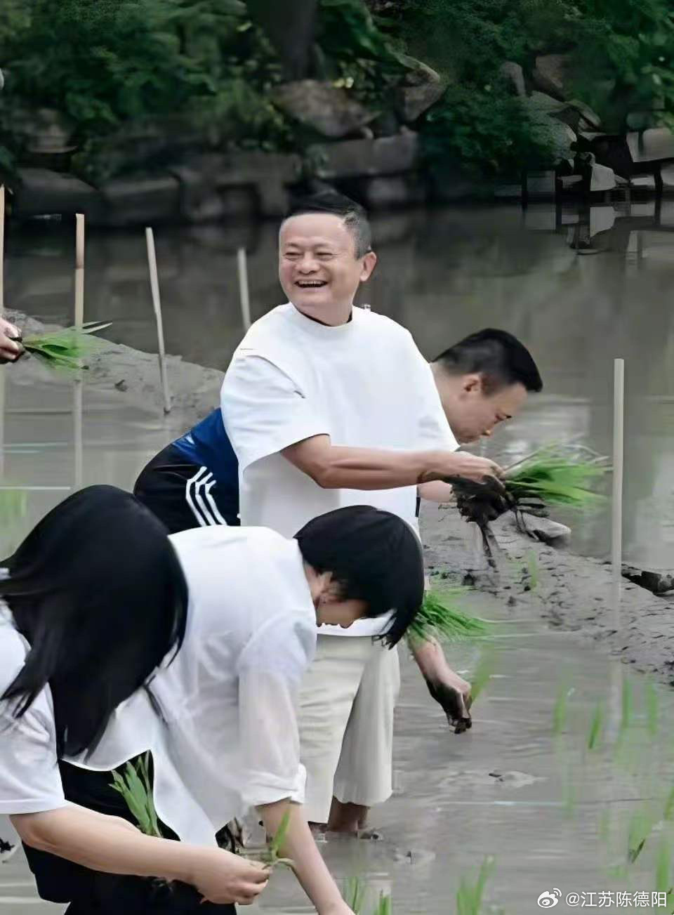 【马老师带领小伙伴们玩插秧】你小时候不愿干的活，如今成了大佬们的理想生活。顺便还