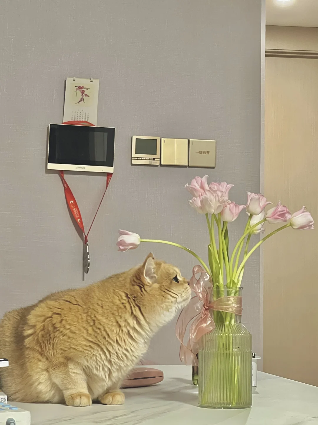 谁们家小猫咪这么爱花花呀！