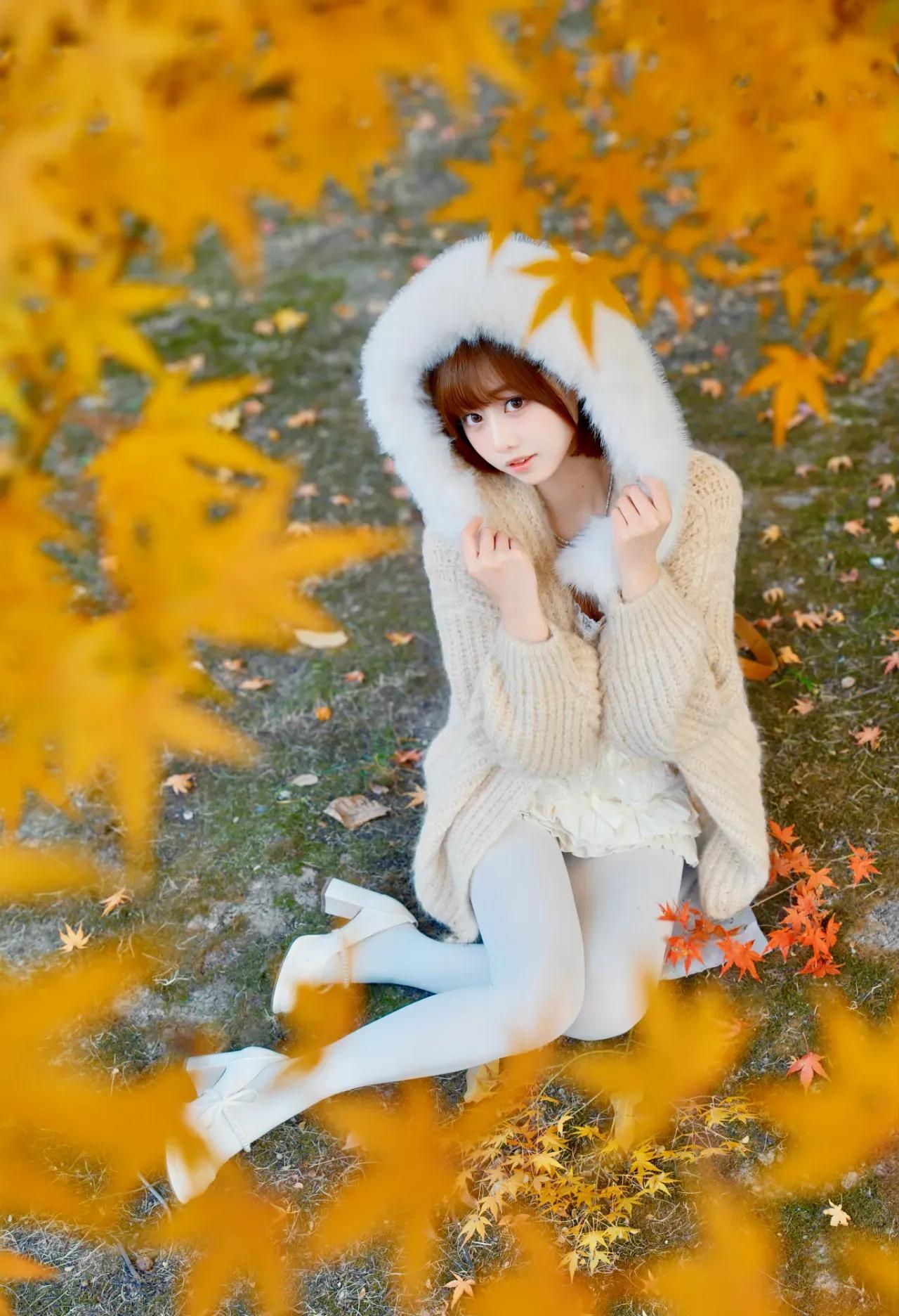 落霞与孤鹜齐飞