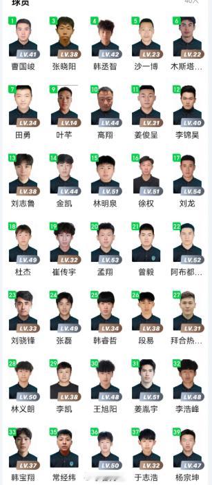 齐鲁超教练也是群英荟萃了，球员更是有大名鼎鼎的国际明星。 