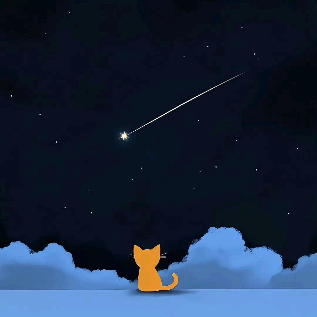 一、经典而永不落伍的类型
自然元素
星空/宇宙：浩瀚星辰意味着无限的可能，且永远