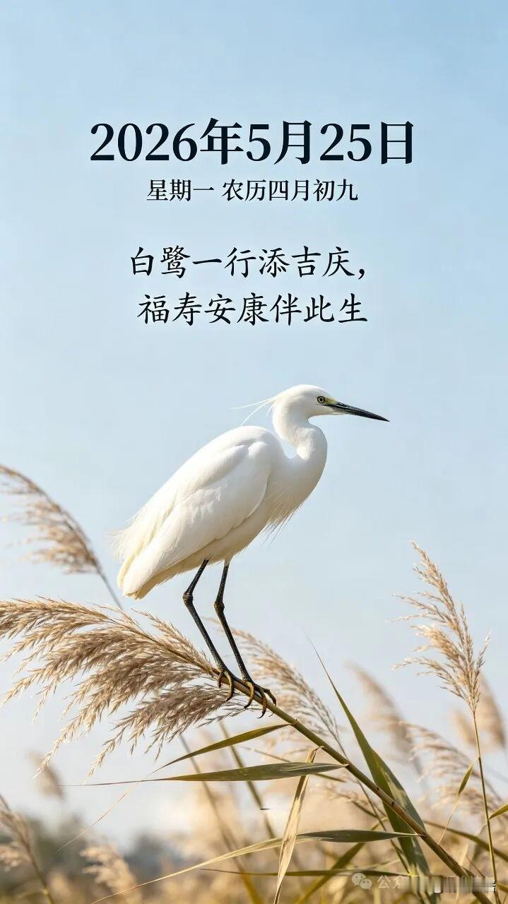 如何看待特朗普的“宫殿梦”特朗普已经不满足美国总统了，梦想当美国的国王，皇上，成