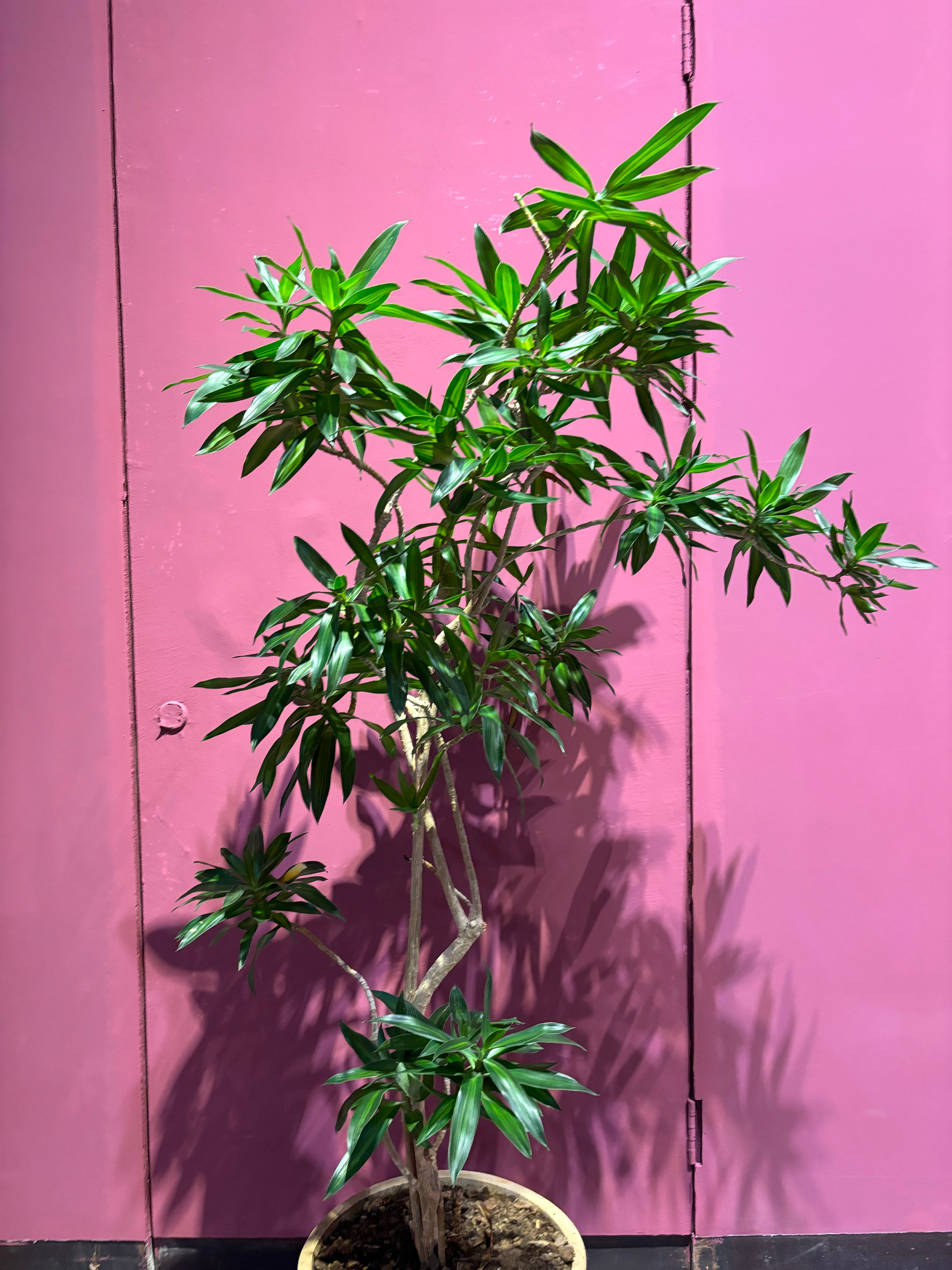 月休十天也不想干了月薪三千休四天的我又算什么呢？ 
