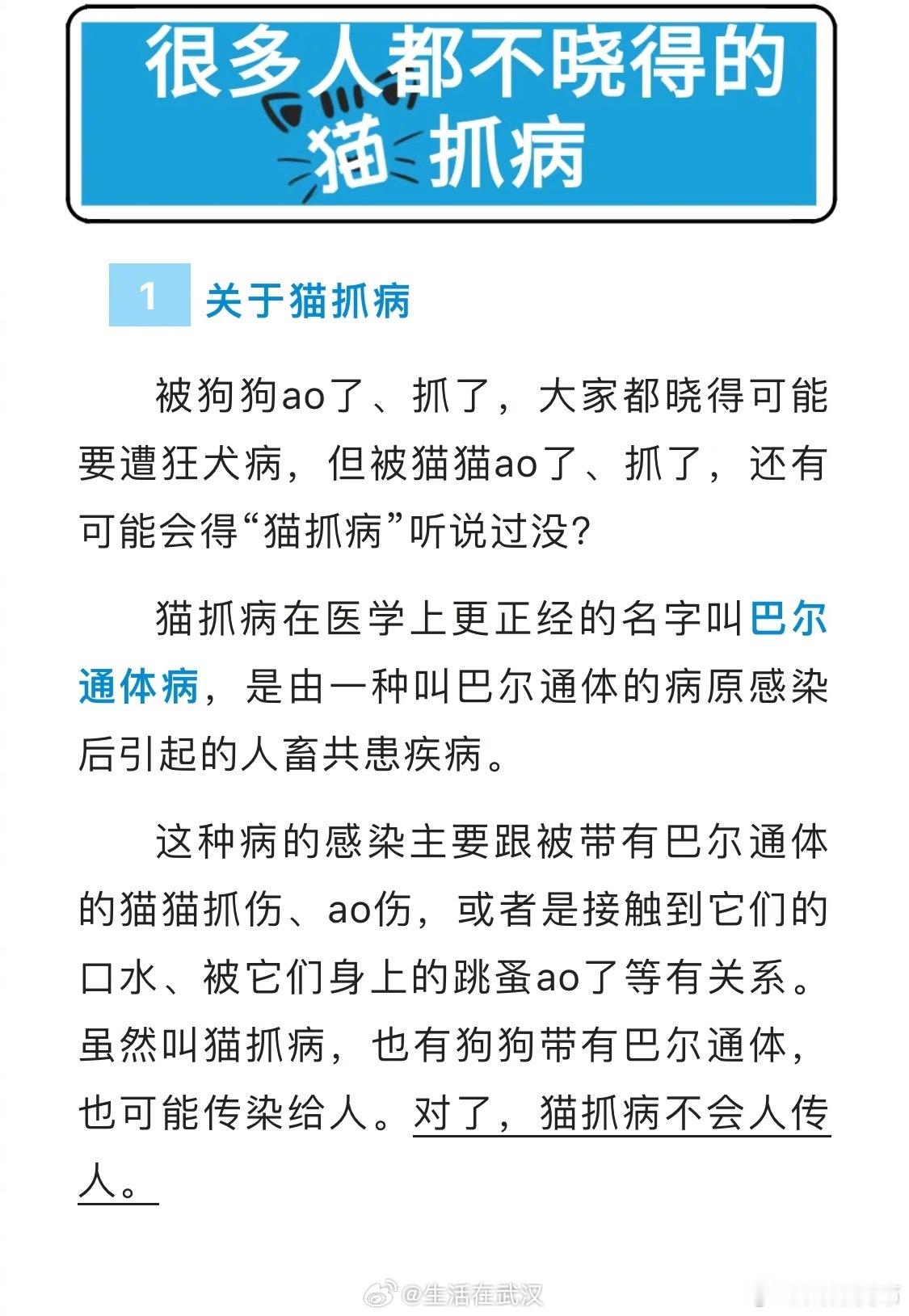 【注意了！喜欢撸猫的朋友要警惕猫抓病】喜欢撸猫的你，知道什么是猫抓病吗？一起听听