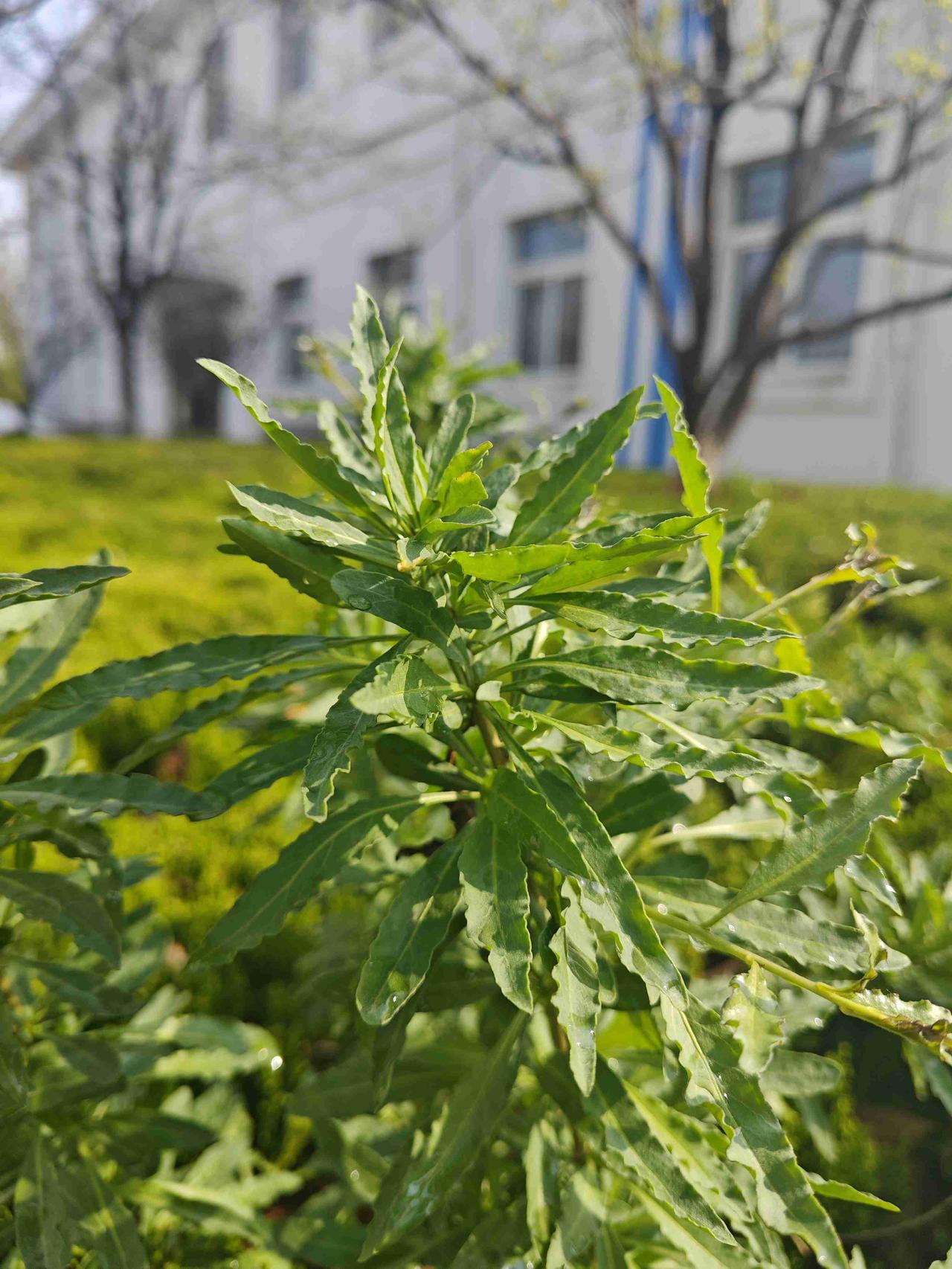 我的今日状态：😁轻松愉快
我这里的天气：☀️晴天
昨晚睡梦中听见淅淅沥沥的声音