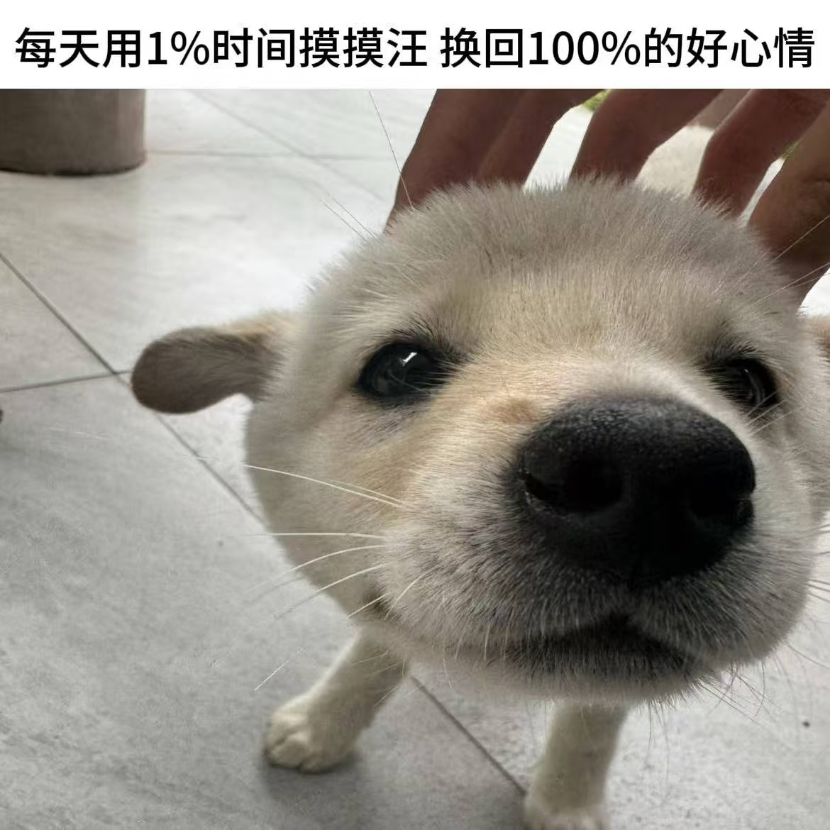 放只于箫在这里 想摸的可以摸૮₍.◜ෆ◝₎ა 【20260703】-赛场🐾聊天