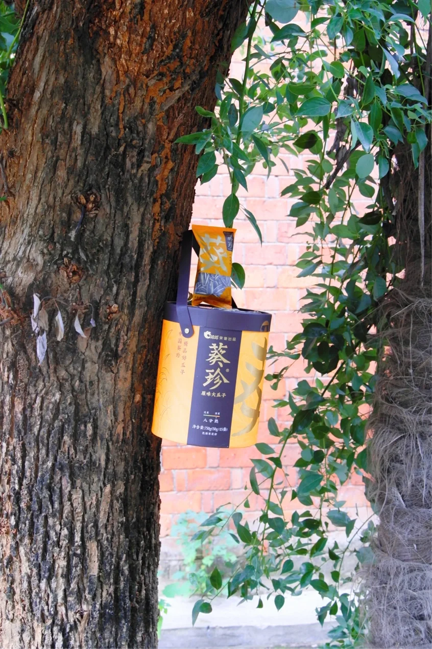《老房子里的时光与温情》孩子们的春天与秋天