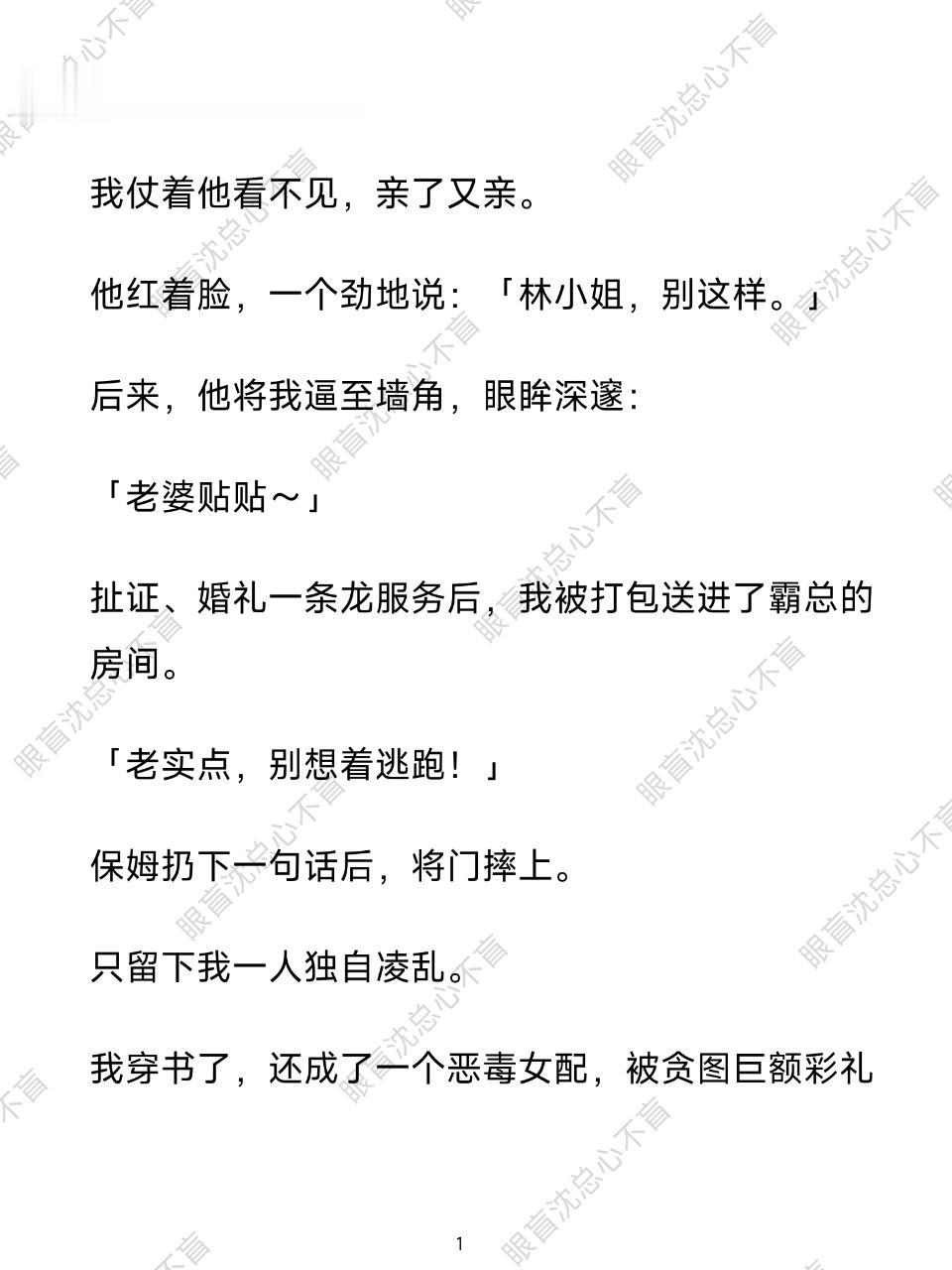 每日分享 小说推荐 眼盲沈总心不盲