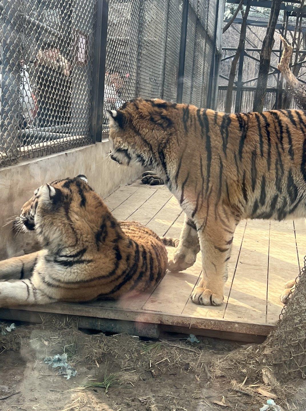 如果可以换手机，你的下一部手机选择什么品牌？
是苹果，还是华为手机啊？