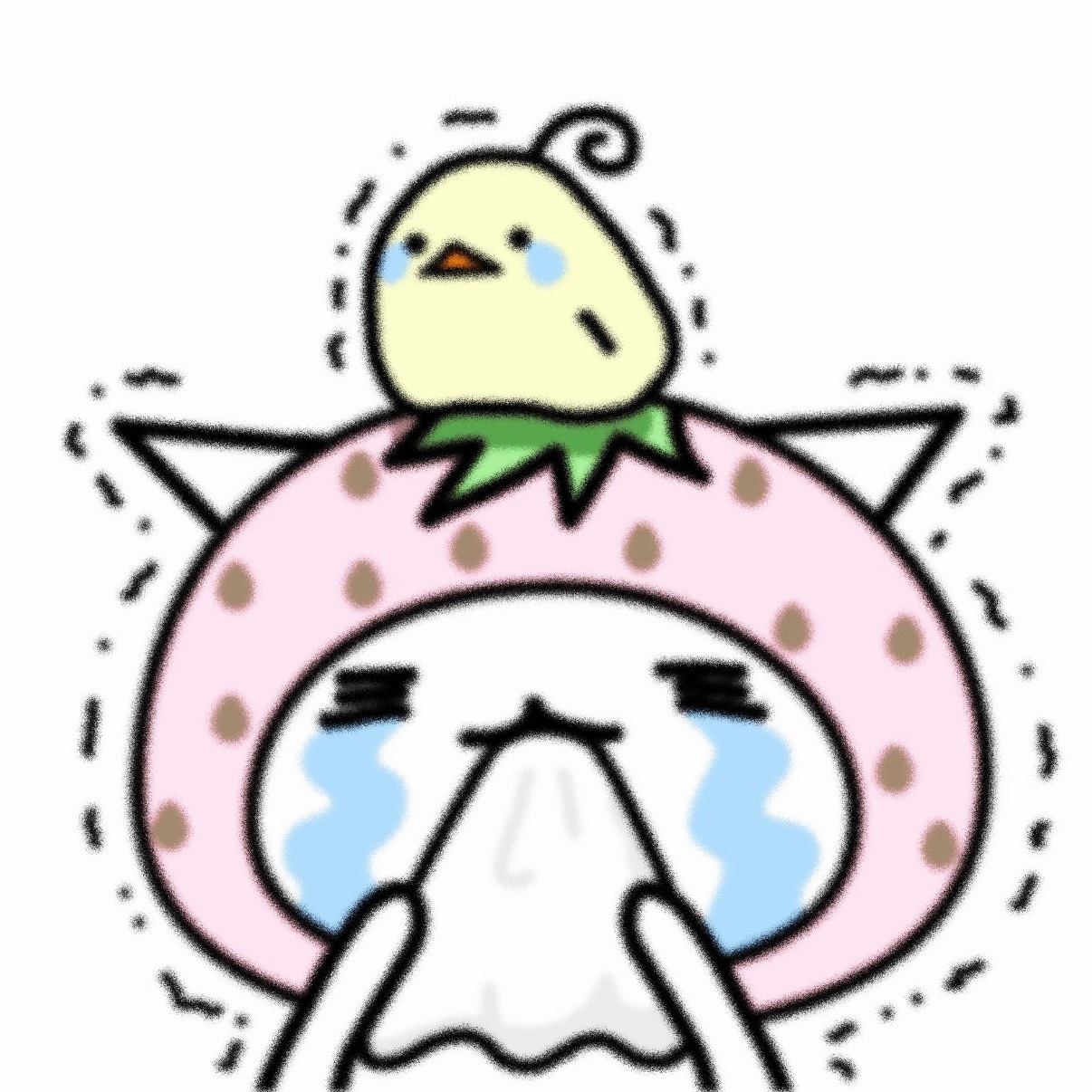 草莓猫｜可爱头像｜动漫头像｜表情包 