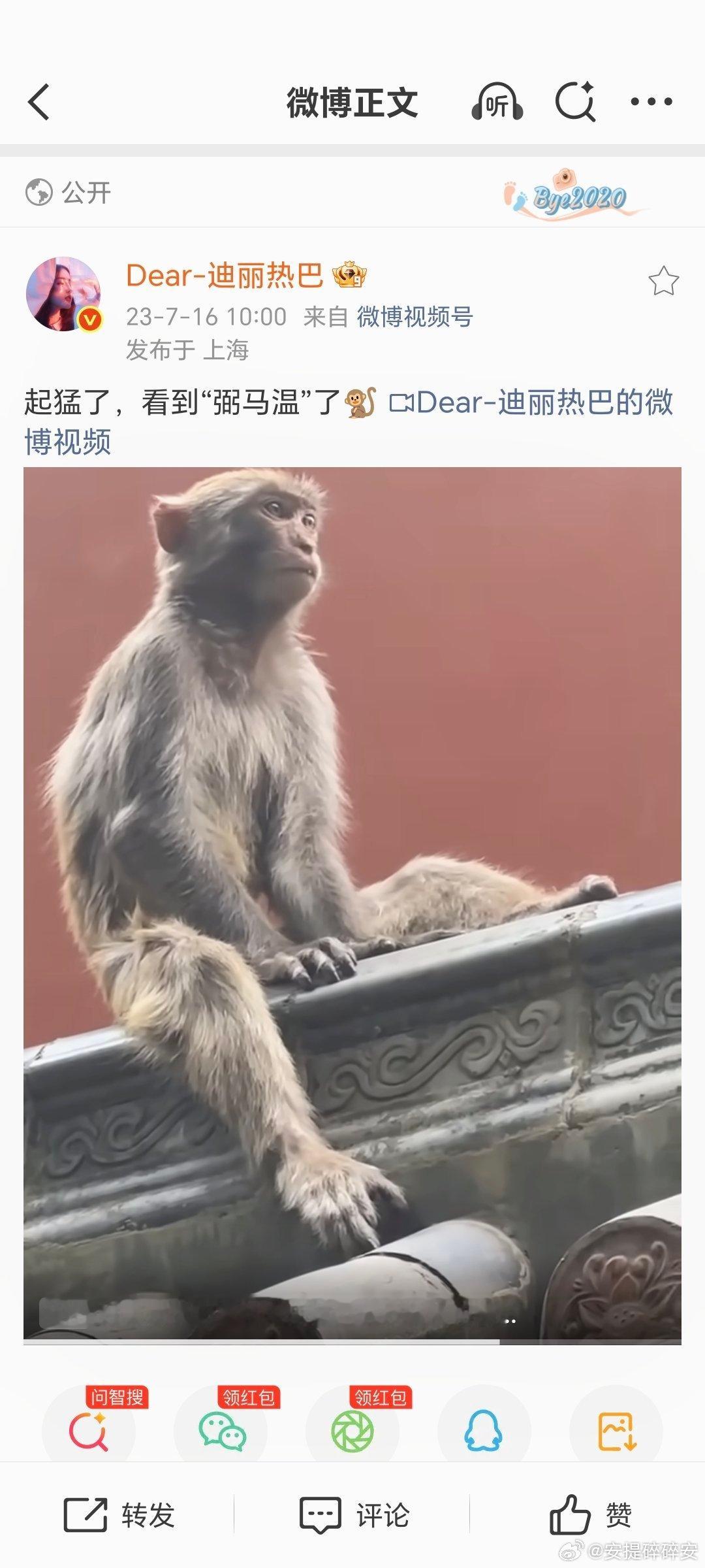 三年前的今天巴还在跟我萌分享“弼马温”