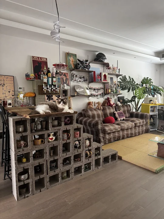 我创造了一个出租屋的生命力🫧