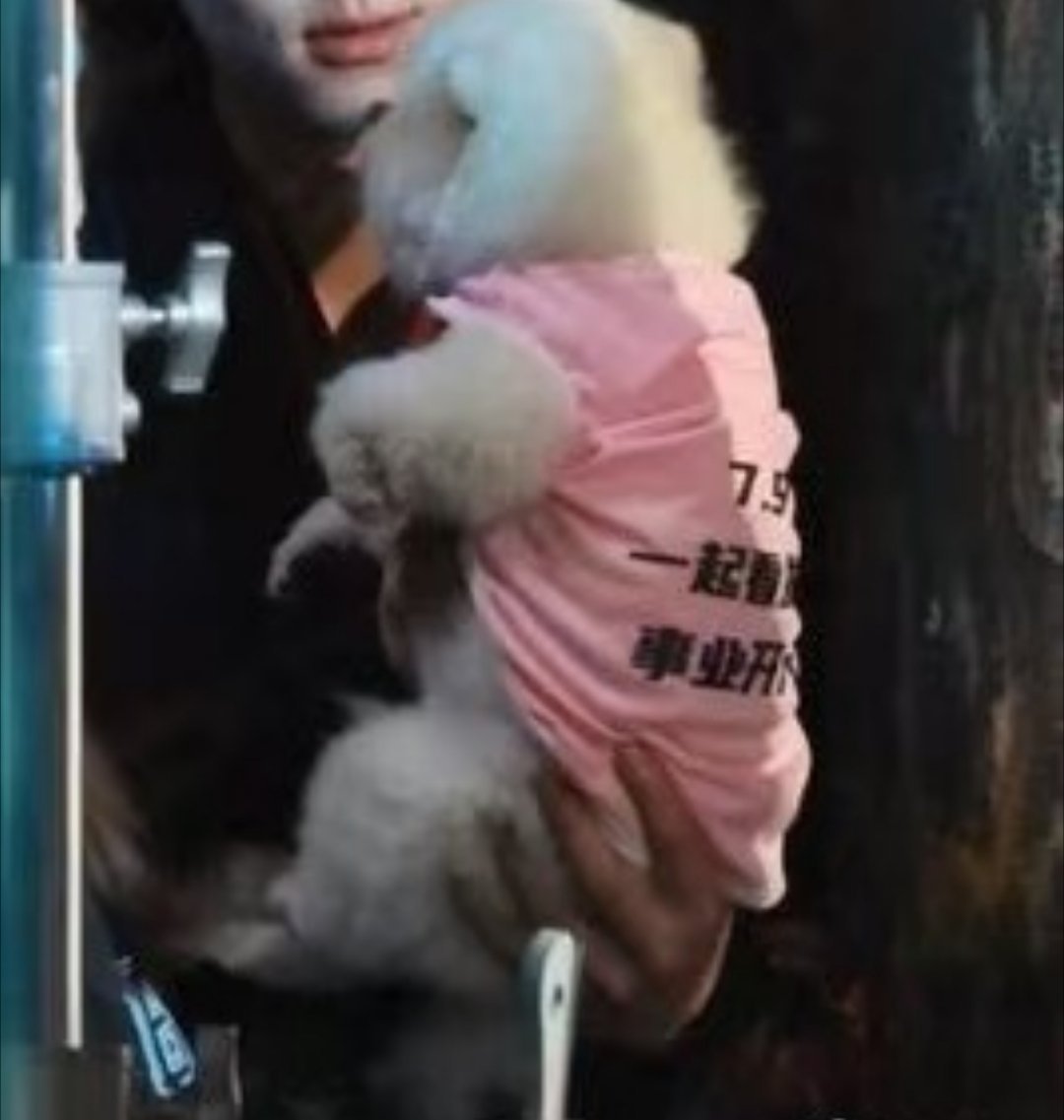 笑吐了，哥哥穿的啥啊 