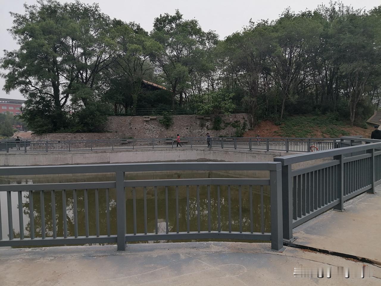 夏日生活打卡季[擦汗]天天开空调，高温闷热真难熬，老年人到了三伏天快40度了，热