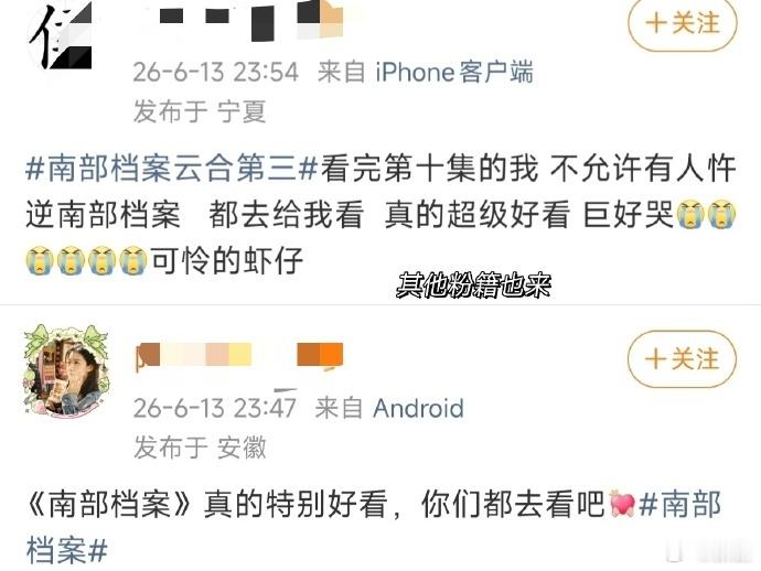 丁禹兮和张新成的演技看的太爽了南部档案下沉口碑南部档案下沉口碑，丁禹兮和张新成的