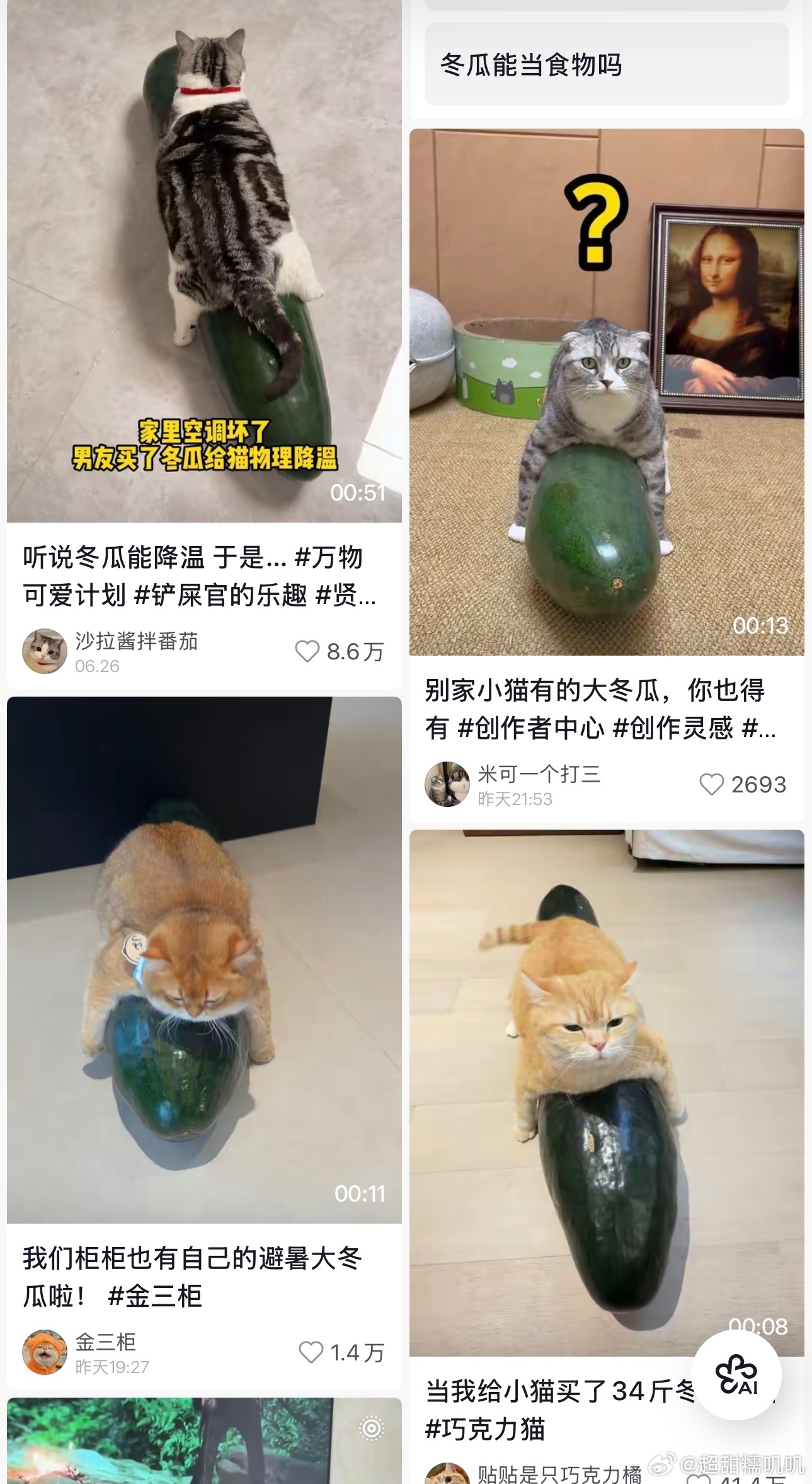 小猫 降温冬瓜这两天冬瓜销量大涨，菜贩子百思不得其解，功劳都是小猫咪的 