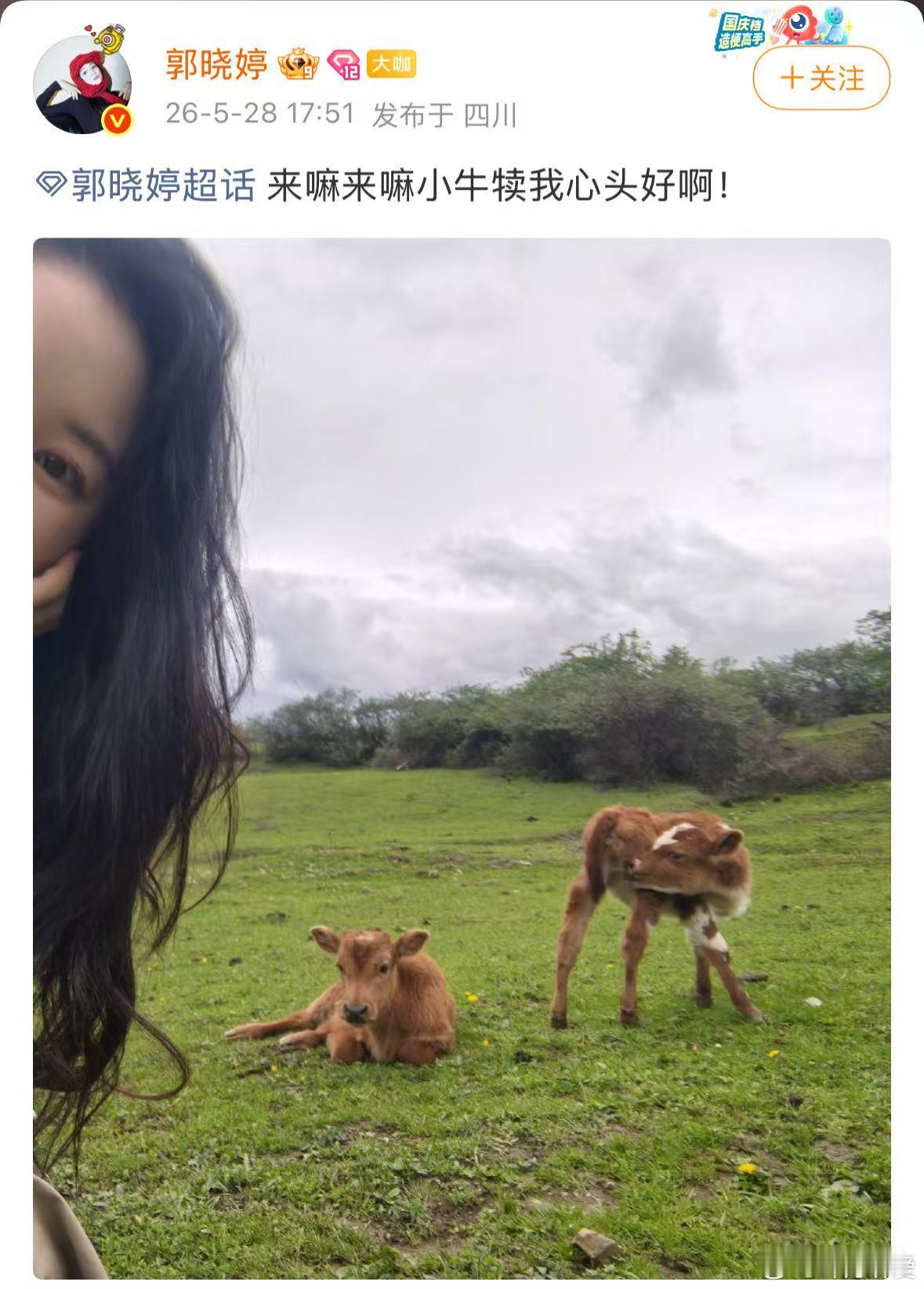 郭晓婷疑似对小牛犊爱而不得郭晓婷在线求和小牛合照教程 隔着屏幕都感受到了纠结，一