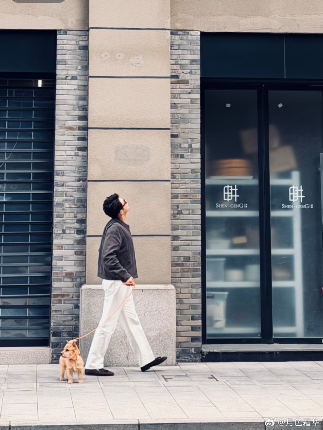 各看各的，这张还是满艺术的，有种真正的悠闲的感觉。[doge] ​​​