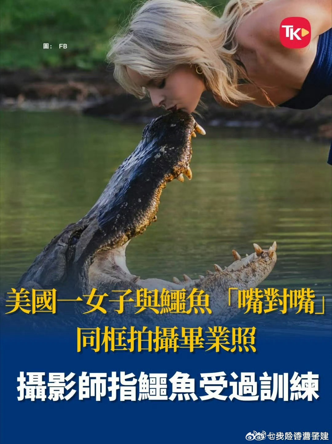 真虎啊 