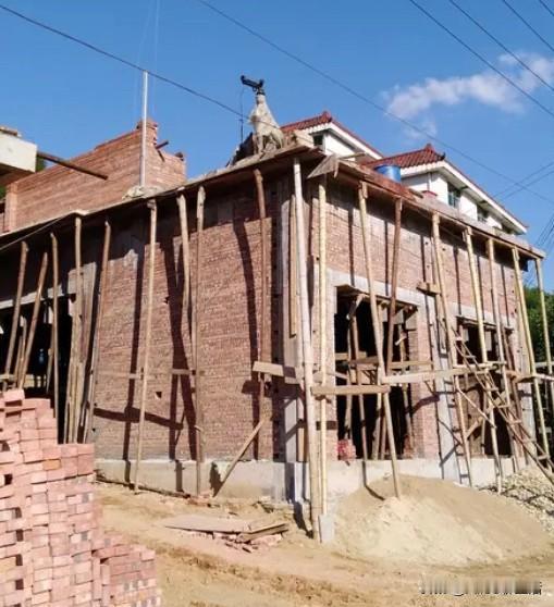 农村建房还是城里买房？
这道平常题真能难倒咱老百姓

有人说 树高千尺 叶落归根