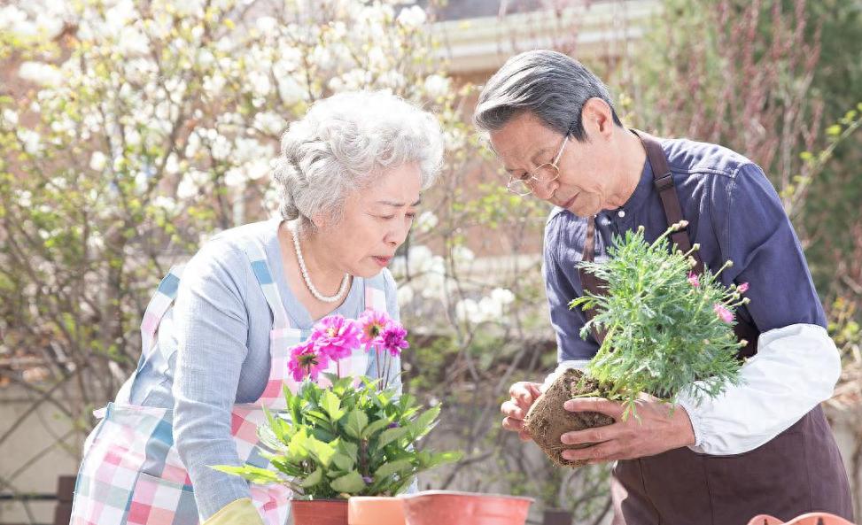 得了高血脂该怎么办？75岁大爷患高血脂10年，分享了这3个关键点

高血脂症，作