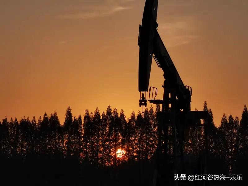 巴菲特老先生退休前最后一笔重仓就是买入西方石油，当时很多人都笑，说你看石油在低位